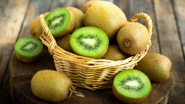 کیوی (Kiwi Plant) - Image 3