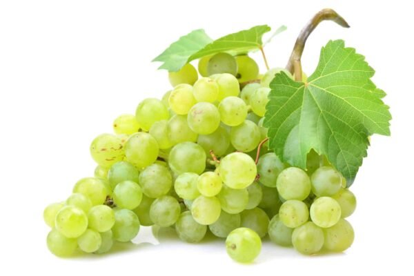 انگور (Grapes)