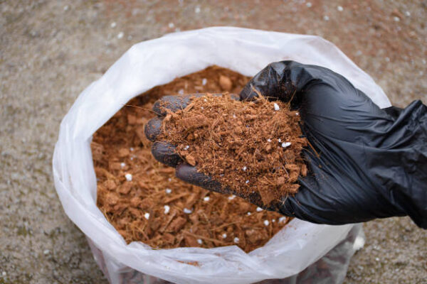 COCOPEAT (1-Kg)