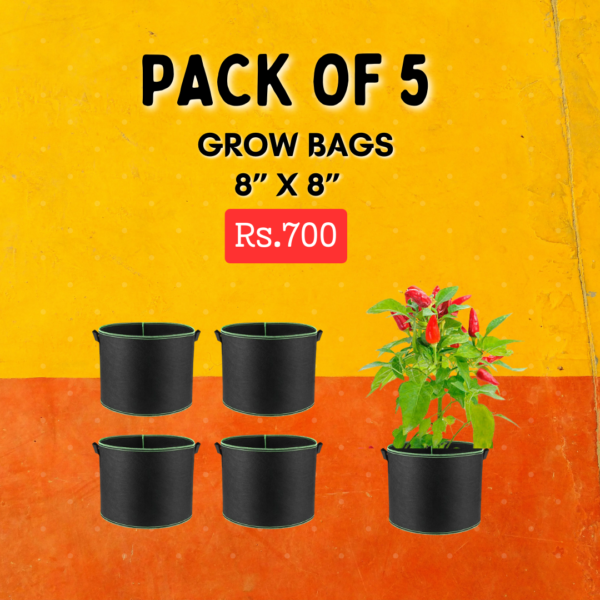 Grow Bags Deal-2 (Pack of 5, 8”x8), with Two Handles