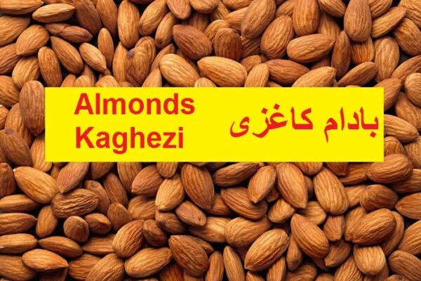 Kaghezi Almond (کاغذی بادام)