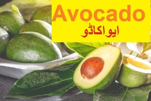 Avocado (ایووکیڈو)