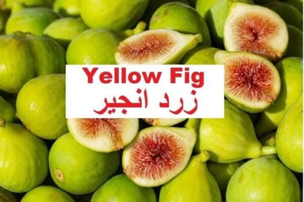 Yellow Fig (پیلا انجیر)
