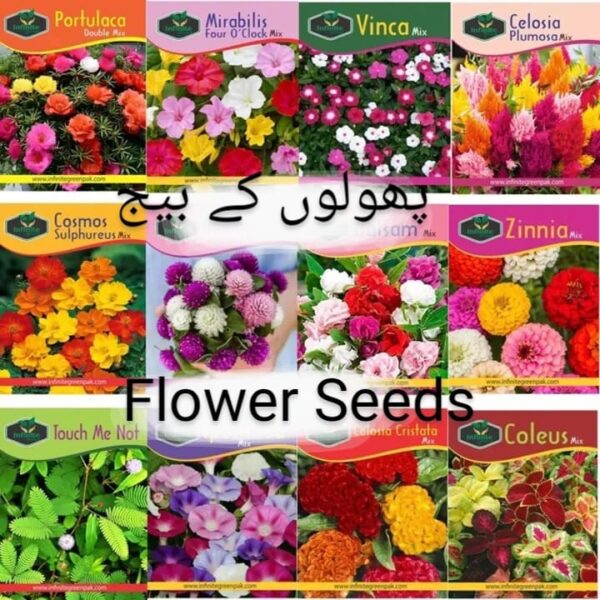 Different Flowerings Seeds