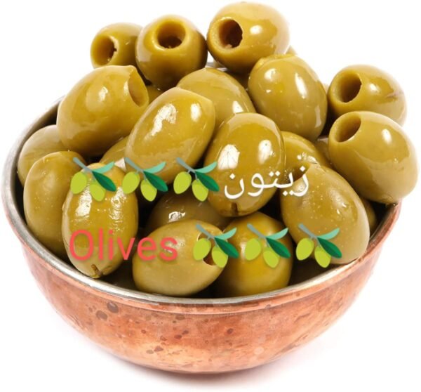 Olive Plant (زیتون کا پودا)
