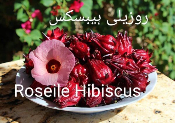 Barbados Cherry (بارباڈوس چیری)